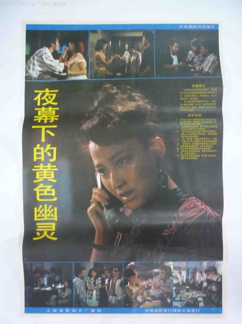 雷恩第二大学 Science and technology diploma